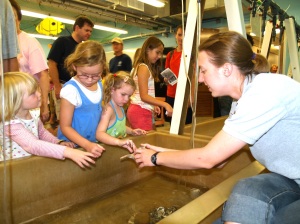 Young visitors get up close and personal with marine life at the Aquarium touch tanks.